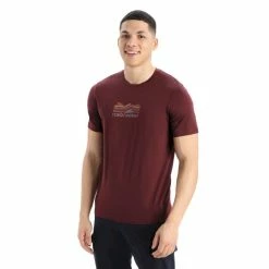 Top 10 🛒 Icebreaker Tech Lite II SS Tee Mountain Geology - T-shirt en laine mérinos homme 🎉
