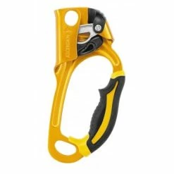 Acheter 🌟 Petzl Ascension - Bloqueur ✔️