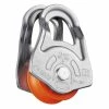 Meilleure affaire 🧨 Petzl Oscillante - Poulie 💯
